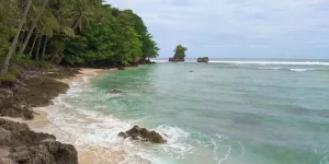 Pisang Island, an Exotic Island that is a Habitat for Dolphins in Lampung